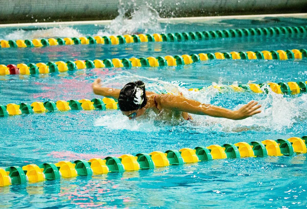 Pool Power Water Aerobic Is Running: The Overlooked Fat-Burning Secret in Your Local Pool